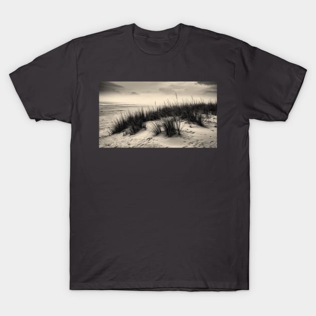 Winters Day At The Beach T-Shirt by JimDeFazioPhotography